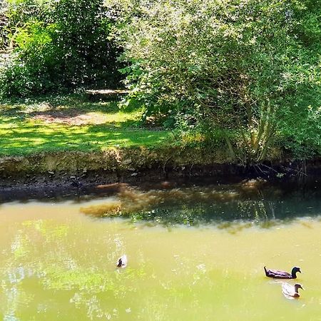 Tout le confort au milieu d'un parc botanique Noyal-Muzillac Extérieur photo