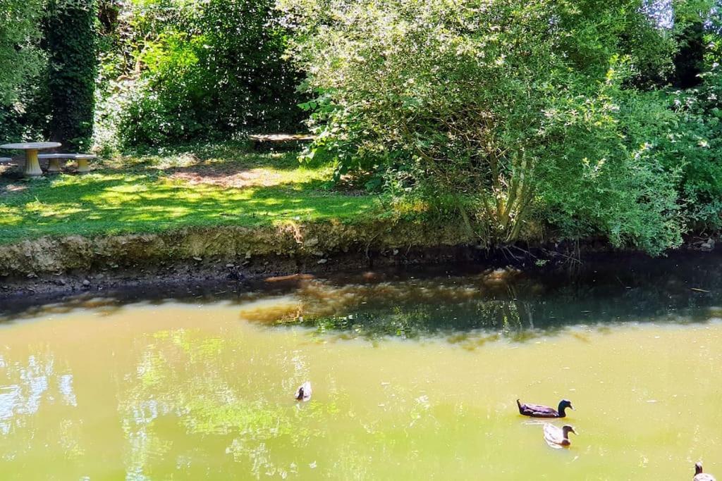 Tout le confort au milieu d'un parc botanique Noyal-Muzillac Extérieur photo